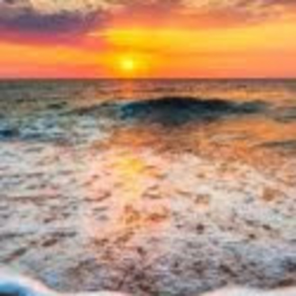 Meet your Posher, Michael - Picture 1 of 1